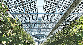 नवीनतम कंपनी ब्लॉग के बारे में इटली ने सौर परियोजना स्थल चयन और सौर कर प्रोत्साहन पर नए नियम जारी किए